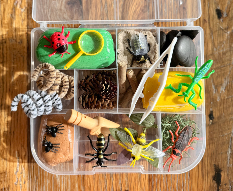 Bugs Playdough Kit