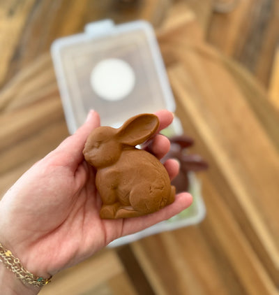 Chocolate Bunny Mini Playdough Kit