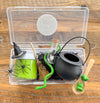 Witch's Brew Mini Playdough Kit