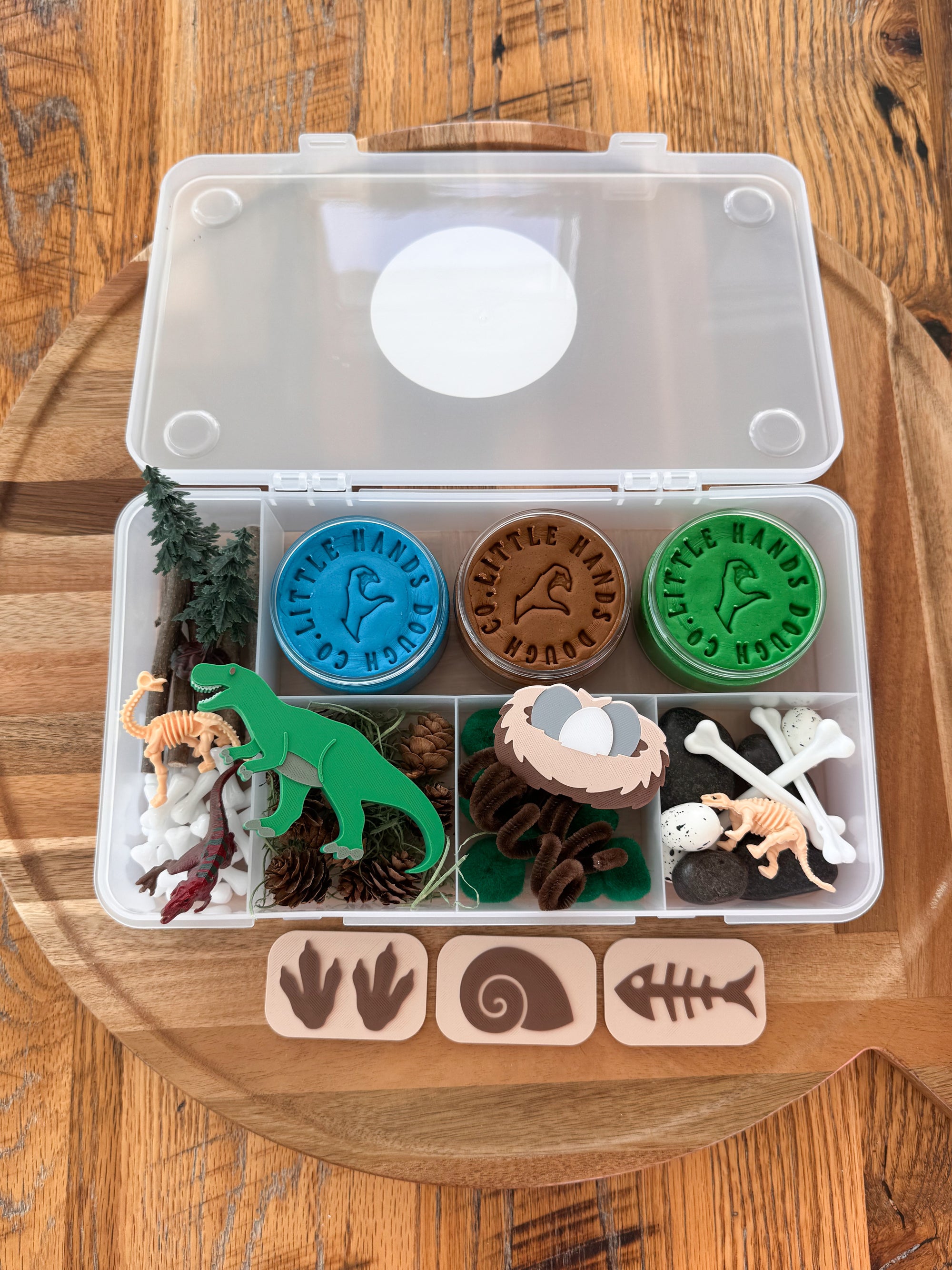 Dinosaur Playdough Kit