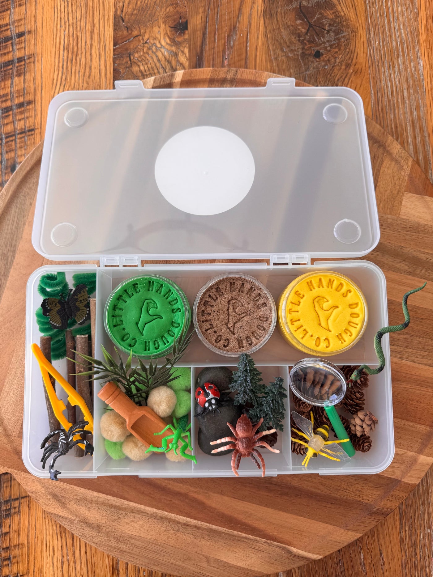 Bugs Playdough Kit