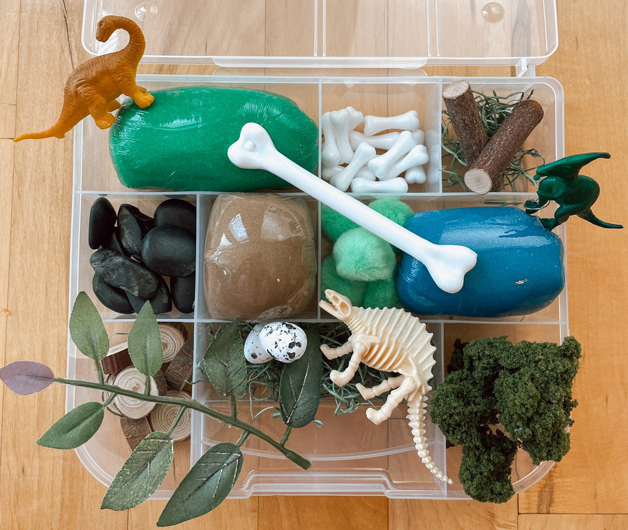 Dinosaur Playdough Kit