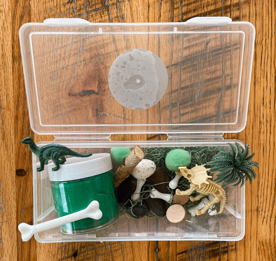 Dinosaur Mini Kit